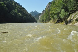 
Rafting on the Dunajec River in the Pieniny National Park on wooden folding shuttles tied with a rope. Rafters paddling on a rapid stream with a rocky bottom and strong river current.