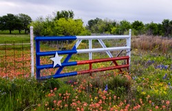 Texas Flag Gate in a field of Paintbrush, Bluebonnets and Yellow flowers. 