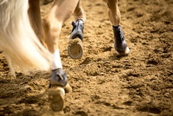 Equestrian Sports, Horse jumping, Show Jumping, Horse Riding themed photo