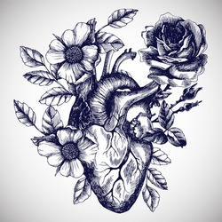 Blooming anatomical human heart. Vector hand drawn illustration in vintage style. Design for your tattoo, logo or other.