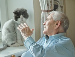 Senior man playing with grey cat sitting on the window. Cozy scene, hygge concept