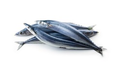 A heap of nice shaped Pacific saury (Cololabis saira  mackerel pike  Sanma ) isolated on white.