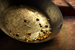 Finding gold. gold panning or digging. Gold on wash pan.