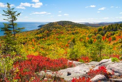 Autumn Foliage in Acadia National Park, Maine, USA