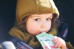 Close up portrait of sweet toddler kid eating fruit puree from plastic doy pack, sitting in stroller, outdoor snack time