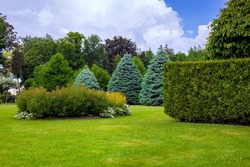 landscaped park with a garden bed and different trees and bushes on a turf lawn, evergreen and seasonal plants in the backyard on overcast weather.
