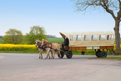 a cart pulled by horses