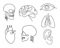 One line human organs set design silhouette.Logo design. Hand drawn minimalism style vector illustration.