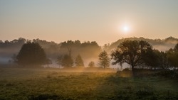 The rising sun burns through fog shrouding the trees around a lake