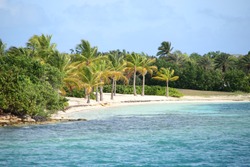 Beautiful tropical beach with turquiose sea & white sand on Green Island, Antigua, Caribbean. 