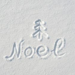 Noel letters, twig tree mark handdrawn on flat snow surface. Nice christmas holiday square postcard, greeting card.