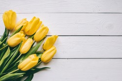 Yellow tulips bunch on white wooden planks rustic barn rural table background. Empty space for lettering, text, letters, inscription. Beautiful horizontal flat lay postcard template.