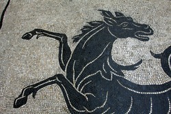An ancient Roman mosaic art display the image of a sea horse, Rome Italy