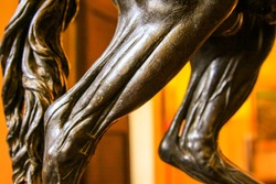 A detail on bronze horse figure, which display a muscle on horse's leg.