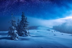 Fairy forest covered with snow in a moon light. Milky way in a starry sky. Christmas and New Year winter night.