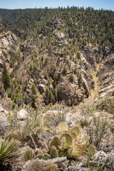 Rugged Overlook at Walnut Canyon National Monument