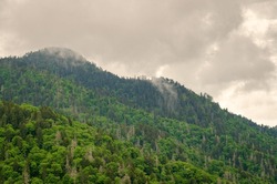 Overlook on a Moody Day at the Great Smoky Mountains National Park in North Carolina