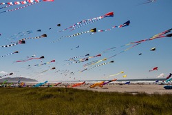Many large kites with long tails against a blue sky and beach.