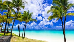 Tropical scenery. Beautiful palm beach Belle Mare with turquoise waters, Mauritius island