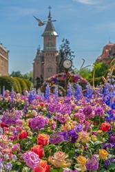 Beautiful floral decoration in Victory Square on the occasion of the 