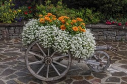 Flowers in a wooden carriage wagon cart chariot