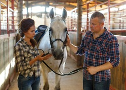Portrait of smiling couple with white horse standing at stabling indoor