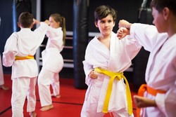 Ordinary boys training in pair to use taekwondo technique during class