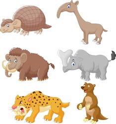 Cartoon animal collection set