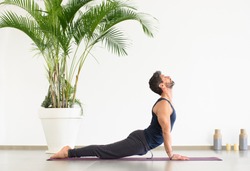 Sportive young man in black clothes doing upward facing dog yoga pose, during the work out on mat, viewed from the side against white wall and potted palm plant