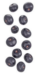 Falling (flying in the air) acai berries isolated on a white background. Whole fruit.