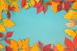 Autumn leaves frame on tirquoise background