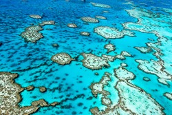 The Great Barrier Reef in Queensland, Australia.