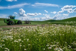 Abandoned tractor and farming equipment in an open field near a large tree in The Palouse region of Eastern Washington State. Daisies in foreground