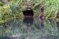Cute hidey-hole cave for animals at the duck pond in the Valley of Lakes in Sintra