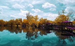 Reflection of a nature landscape by the lakeside in infrared