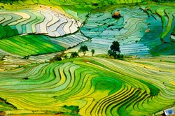 Beautiful landscape about terraced rice field in Laocai province, Vietnam 
