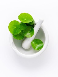 Close up centella asiatica leaves with white mortar isolated on white background top view.