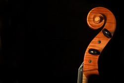 Head of a cello