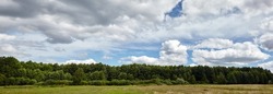 Panoramic photo of dense forest against the sky and meadows. Beautiful landscape of a row of trees and blue sky background