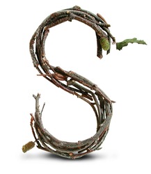 Photograph of Natural Twig and Stick Letter S