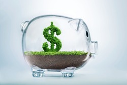 Piggy bank savings concept with grass growing in shape of US dollar 