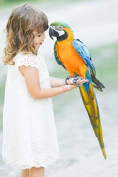 Making photo of exotic animals. Little girl with macaw parrot in the zoo