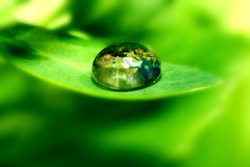 earth map in waterdrop reflection on green leaf