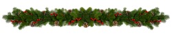 Christmas Border frame of tree branches red berries and pine cones on white background with copy space isolated