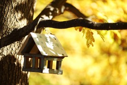 birdhouse in the autumn forest