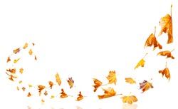 leaves moving flying from the  wind autumn weather background isolated 