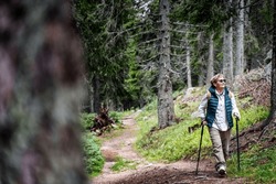Active senior woman walking with Nordic poles while enjoying hike in beautiful autumn forest
