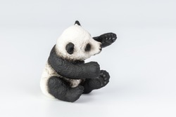 Panda Isolated on White Background