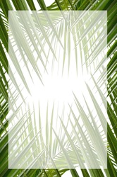 Palm tree branches with cloudy blue sky and copy space for text background