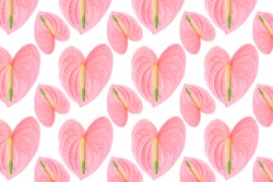 Pattern of a pink flower of different sizes on a white background.  Beautiful anthurium flower. Beautiful background for your design.
